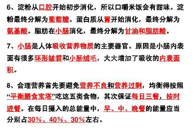鬼才生物老师:把初中生物囊括成8张纸,嚼碎吃透,会考稳拿100!