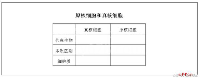 高中生物教师资格证—教案设计