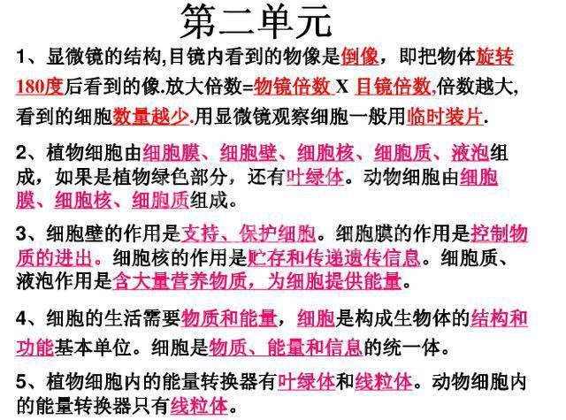 鬼才生物老师:把初中生物囊括成8张纸,嚼碎吃透,会考稳拿100!