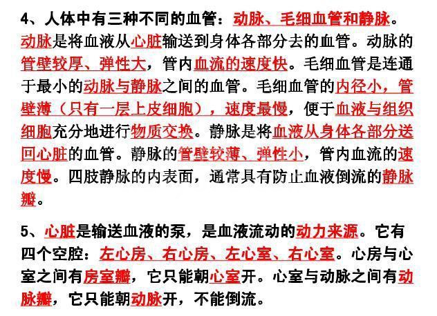 鬼才生物老师:把初中生物囊括成8张纸,嚼碎吃透,会考稳拿100!