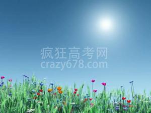 �߿�����ر�֪ʶ�㣺DNA���ӽṹ���ص㣡���������ؾ���