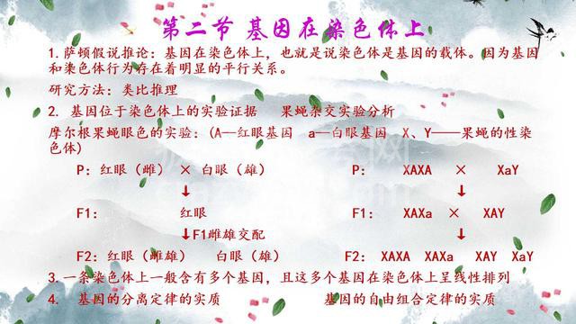 高中生物遗传规律知识点总结 帮孩子收藏好 没事时让他背背