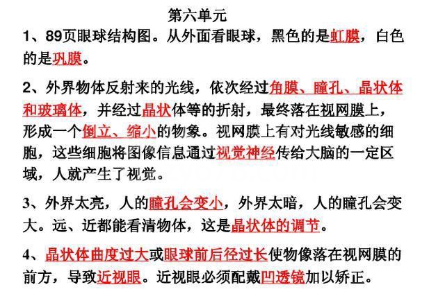 鬼才生物老师:把初中生物囊括成8张纸,嚼碎吃透,会考稳拿100!