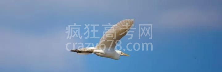 高中生的你累了?不想学了?看看这39个小故事(欢迎大家评论)