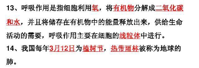 鬼才生物老师:把初中生物囊括成8张纸,嚼碎吃透,会考稳拿100!