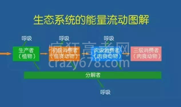 高中生物的这9个知识点,90%的学生都傻傻分不清