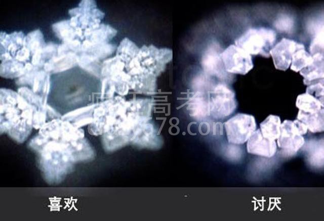 ȱ��������ʶ���й����ѳԹ��˿�ͷ