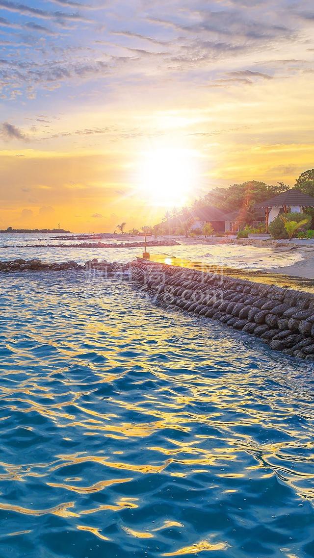 ˽̰һ1嵥Ԫ֪ʶܣͬϣ