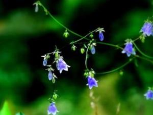 ߿ʱ35죺ҳ7..