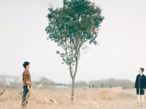 ϸø߿ˣƼڸеഺ磡