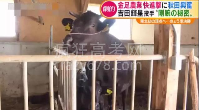 ��Щ�������Ѫ�������ձ����꣬��������Ҫ���ഺ��