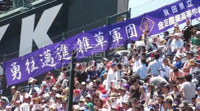 ��Щ�������Ѫ�������ձ����꣬��������Ҫ���ഺ��