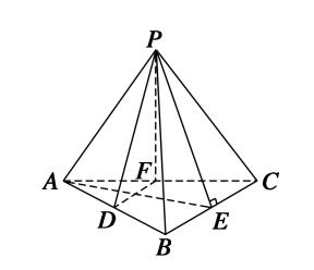 ѧ弸½ڼ⣨𰸣