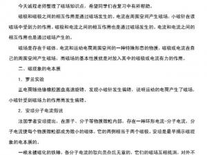 高中物理磁场知识点归纳:罗兰实验、安培力、磁感应